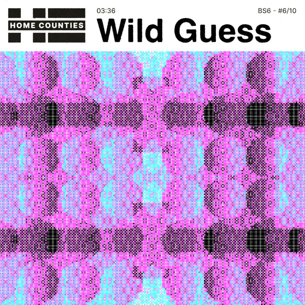 Wild Guess