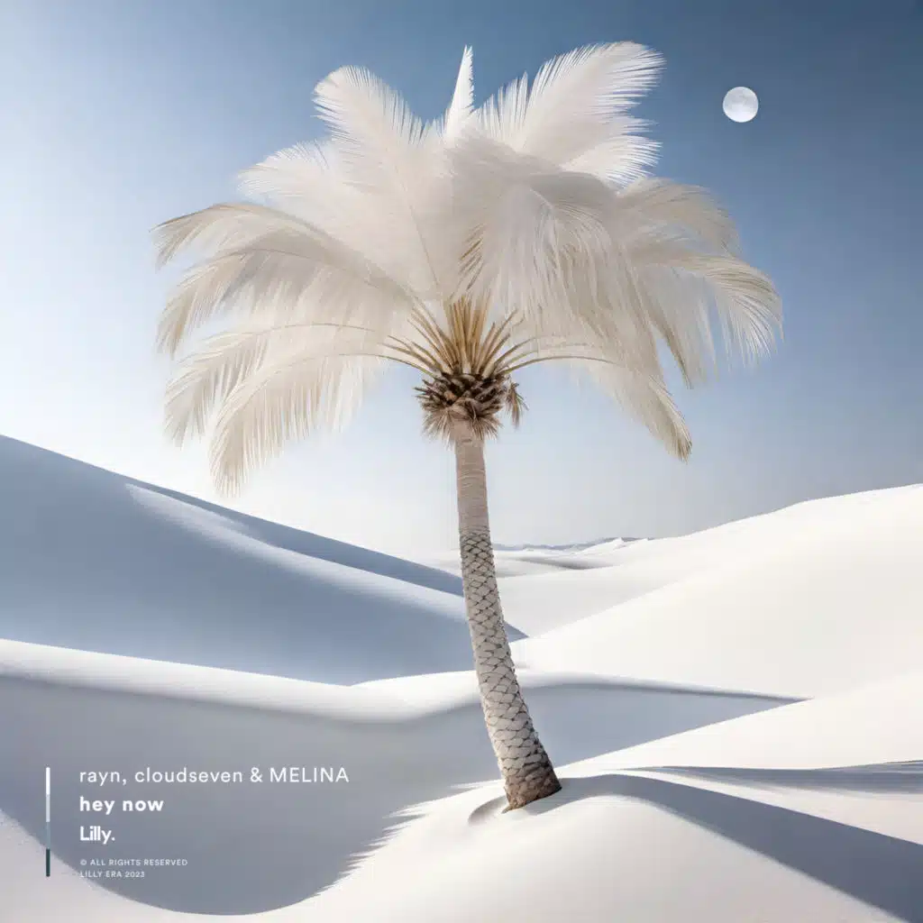 rayn, cloudseven & MELINA