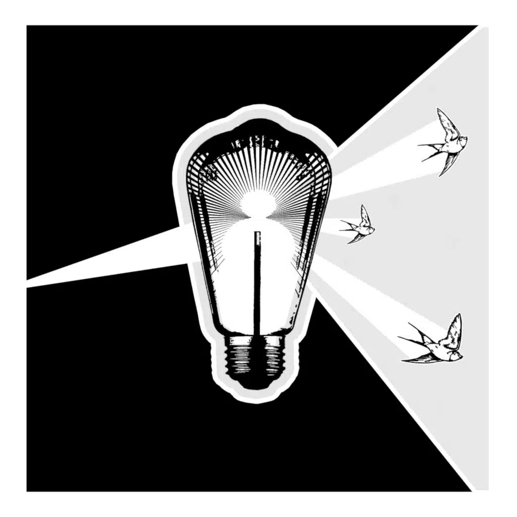 Trick of the Light (Acoustic Version)