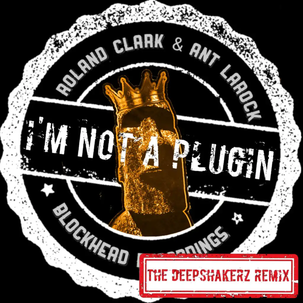 I'm Not A Plugin (The Deepshakerz Remix)