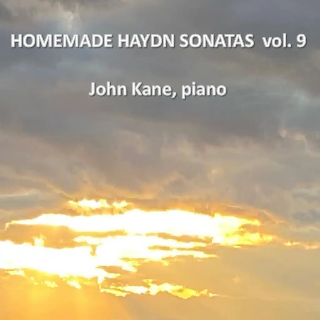 Sonata No. 39 in D Major, Hob. XVI/24: I. Allegro
