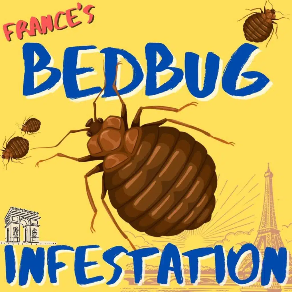 Kid News This Week: French bed bugs, Oz “Voice” vote, mixed-up world cup, camouflage frog
