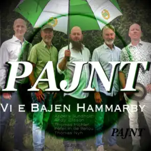 Vi e Bajen Hammarby