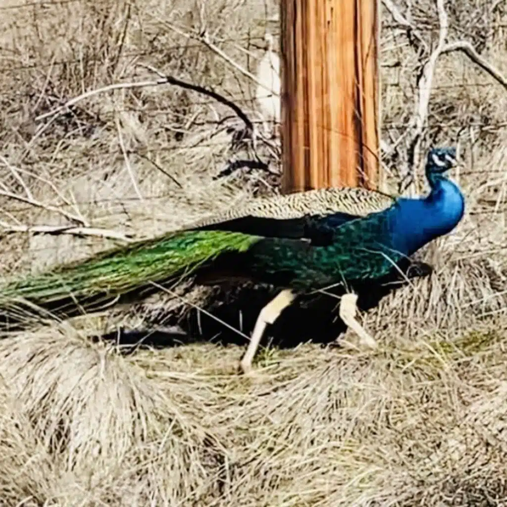 An Inspiring Day Out.