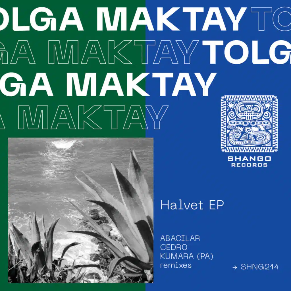 Tolga Maktay