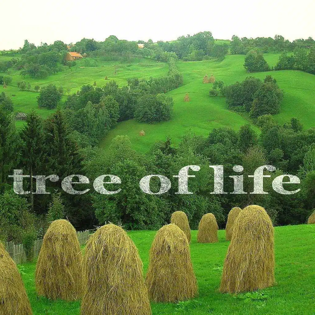 Tree of Life (Proghouse Mix)