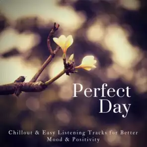Perfect Day (Chillout  and amp; Easy Listening Tracks For Better Mood  and amp; Positivity)
