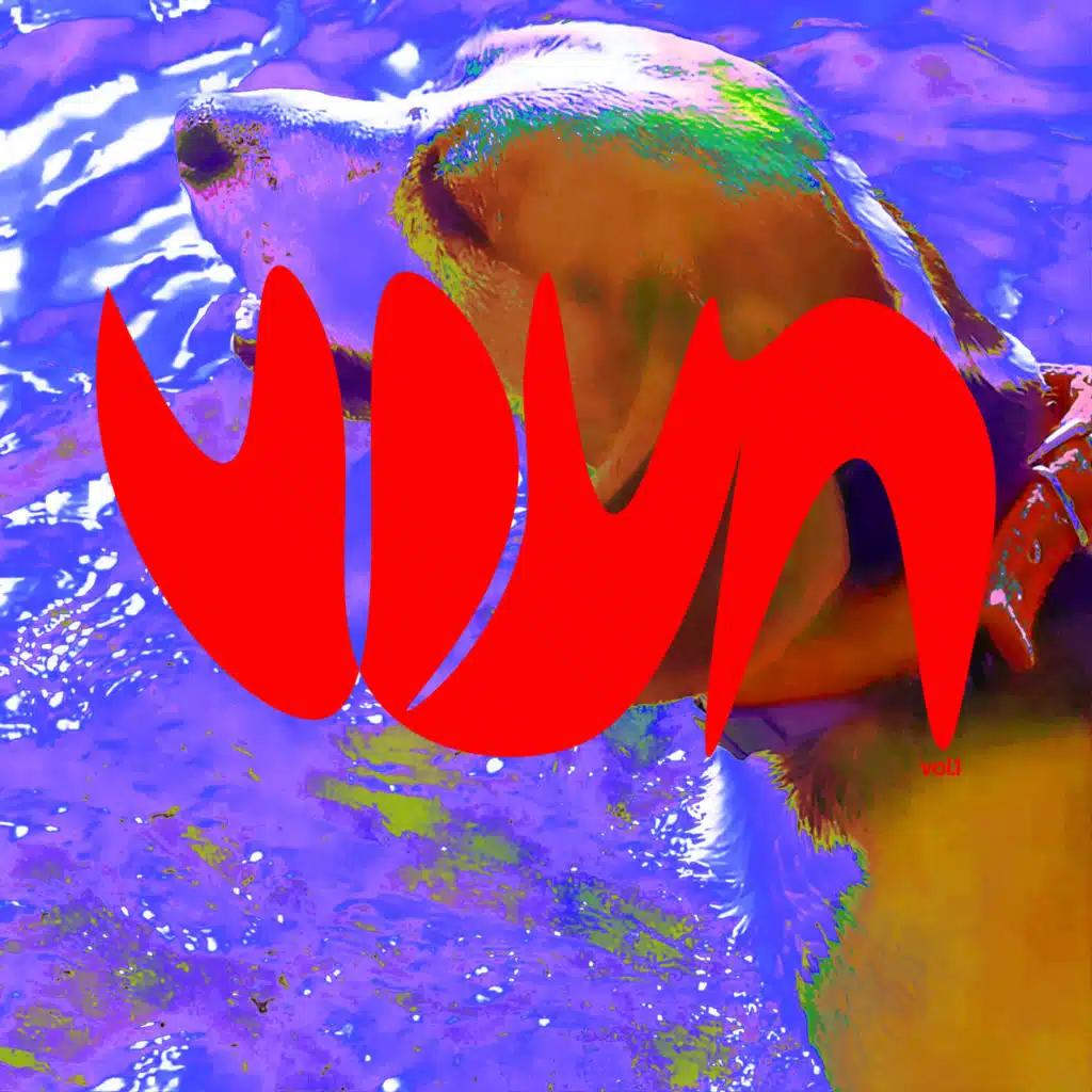 Vdva, Vol. 1