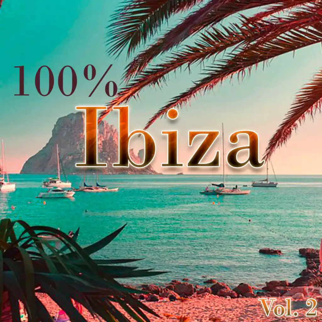 100% Ibiza Vol.2