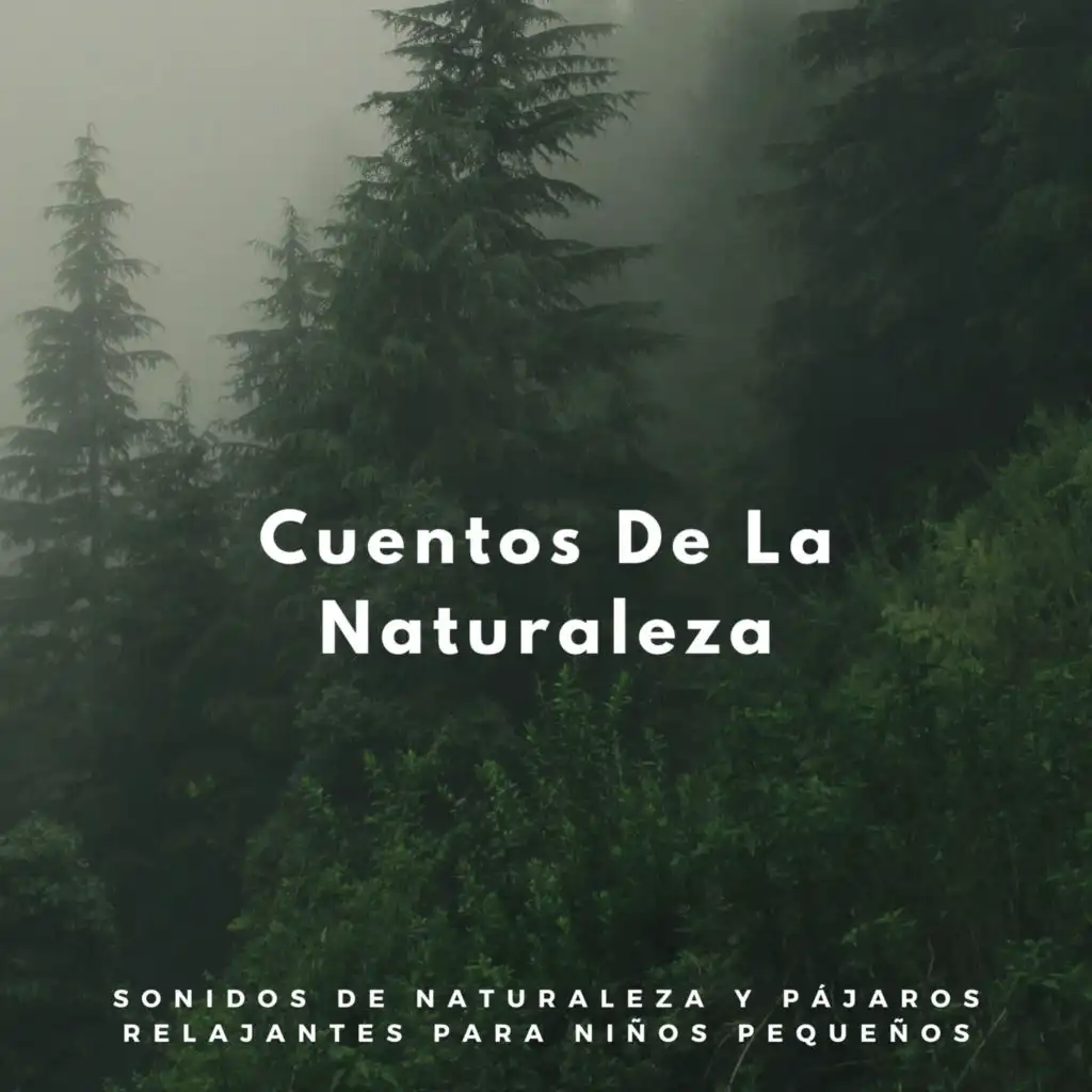 Cuentos De La Naturaleza: Sonidos De Naturaleza Y Pájaros Relajantes Para Niños Pequeños
