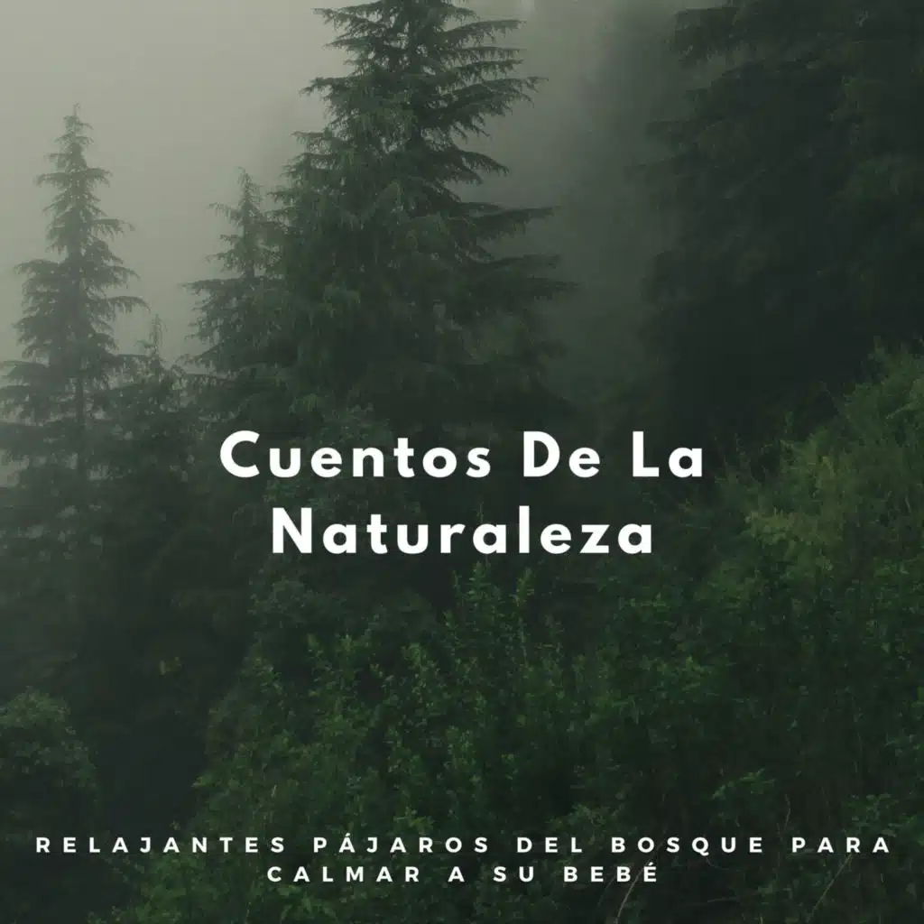 Cuentos De La Naturaleza: Relajantes Pájaros Del Bosque Para Calmar A Su Bebé