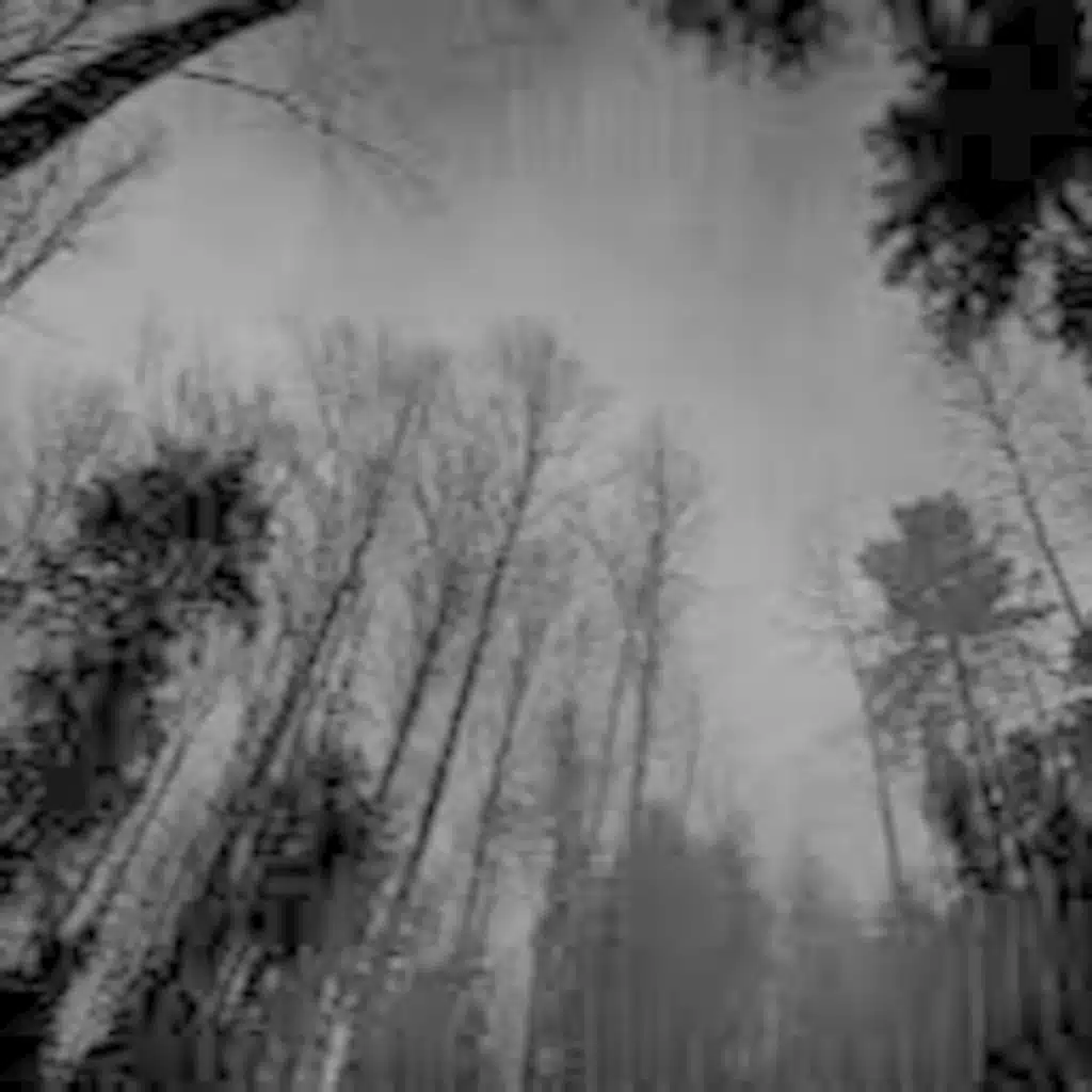 ما هو الوطن؟