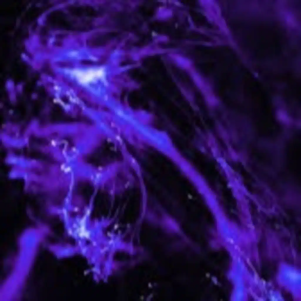 LOVELY BASTARDS x MEET THE FROWNIES (Tiktok Remix - Slowed)