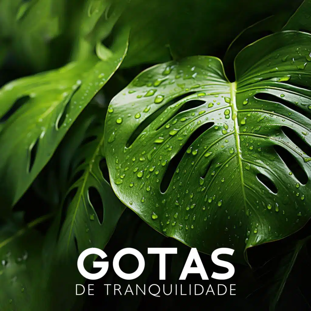 Gotas de Tranquilidade