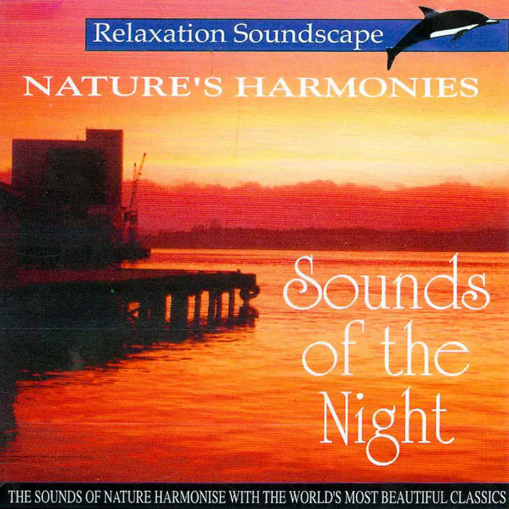 Sounds of the Night