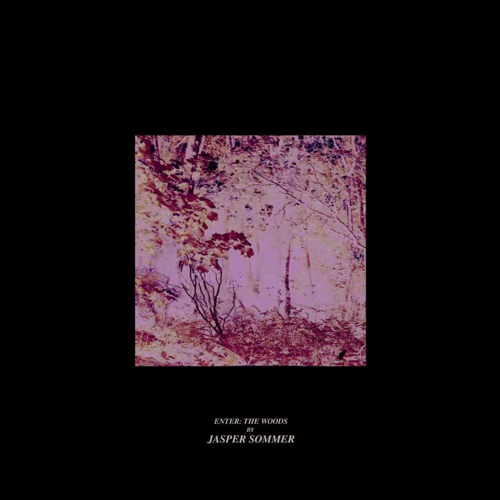 Enter: The Woods