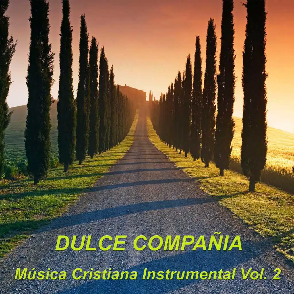 Musica Cristiana Instrumental Vol 2