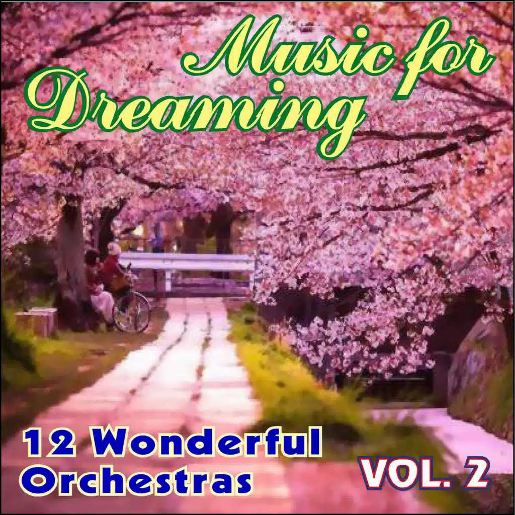 Music for Dreaming Vol. II