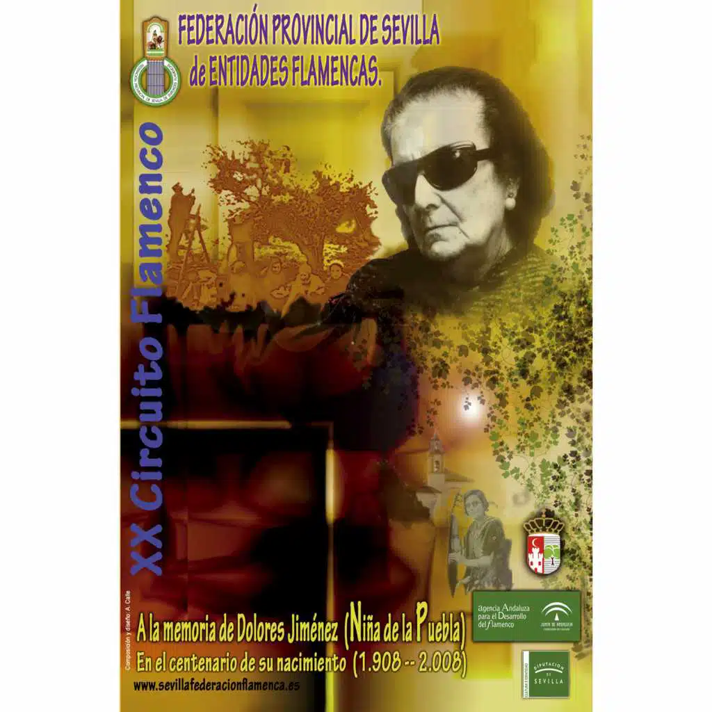 Porque Olvidarte No Puedo (Fandangos) [feat. Manolo de Badajoz]