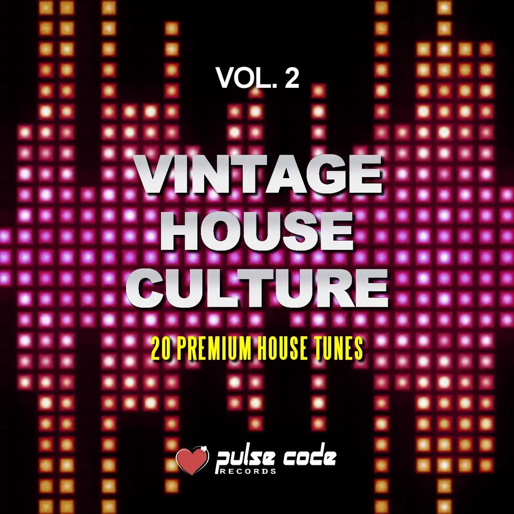 Vintage House Culture, Vol. 2 (20 Premium House Tunes)