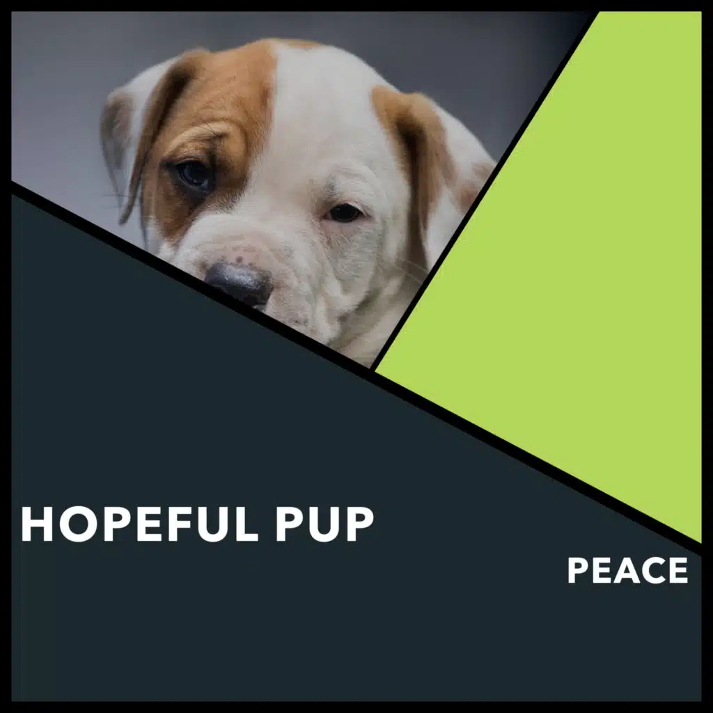 Growth in Mindful Reflection