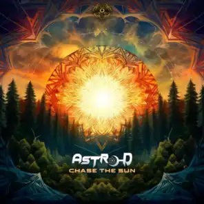 Astro-D