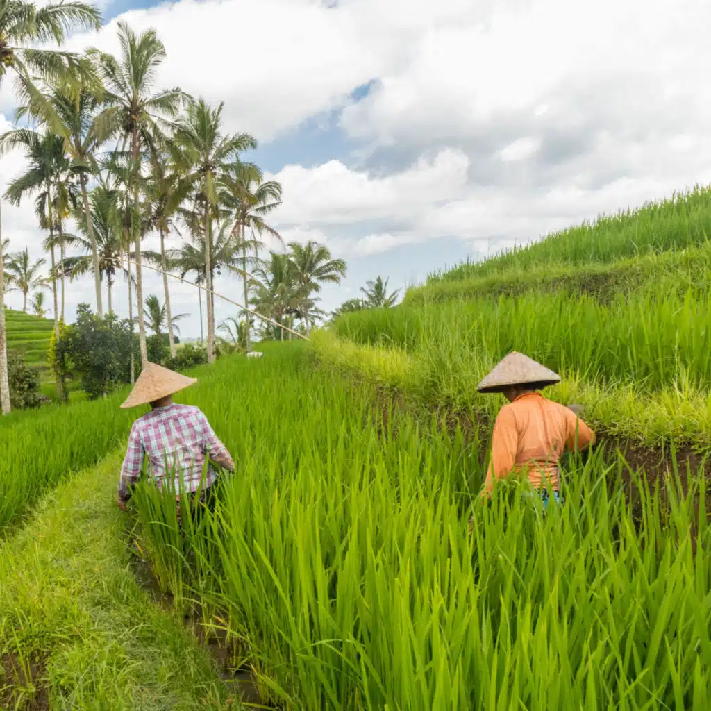 Raindrop Melodies: Work and Piano Fusion