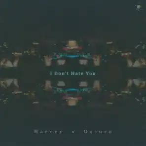 I Don't Hate You