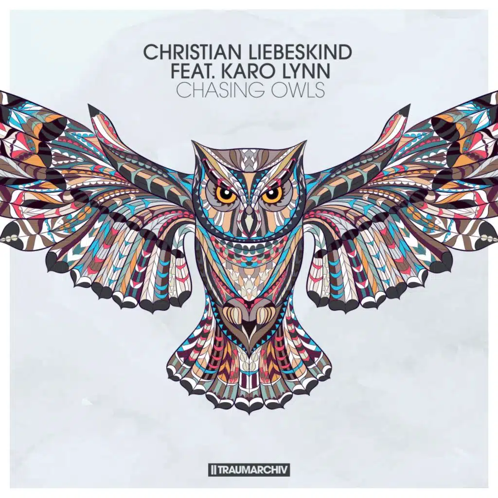 Chasing Owls (feat. Karo Lynn)