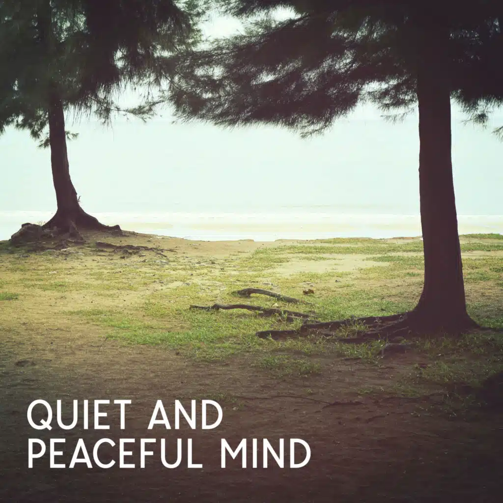 Quiet and Peaceful Mind: Happy and Positive Life