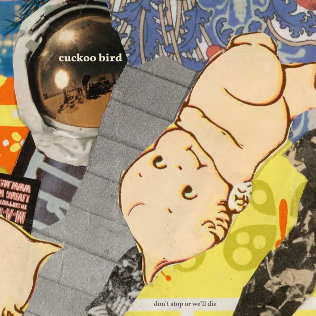 Cuckoo Bird