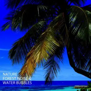 Nature: Forest Noise & Water Bubbles