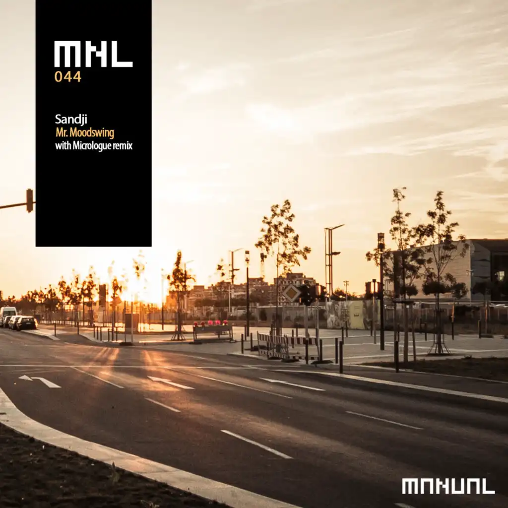 Mr. Moodswing (Micrologue Remix)