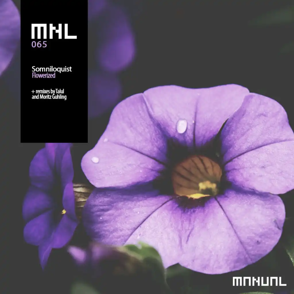 Flowerized (Moritz Guhling Remix)