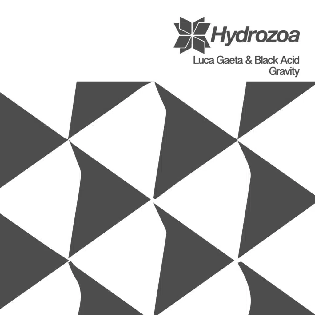 Luca Gaeta and Black Acid