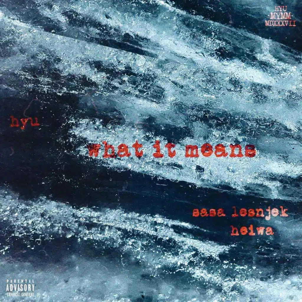 What It Means (feat. Sasa Lesnjek & Heiwa)