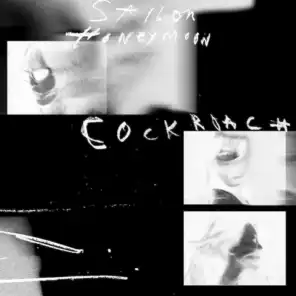 Cockroach (Zaeeun Remix)