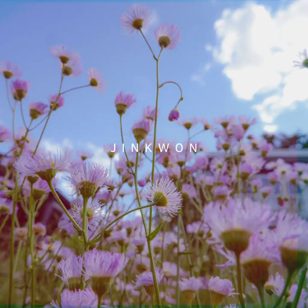 To you cause I love you