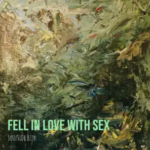 Fell in Love with Sex