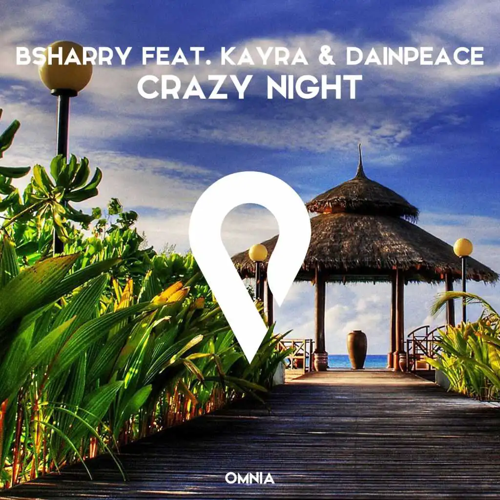 Crazy Night (feat. Kayra & Dainpeace)