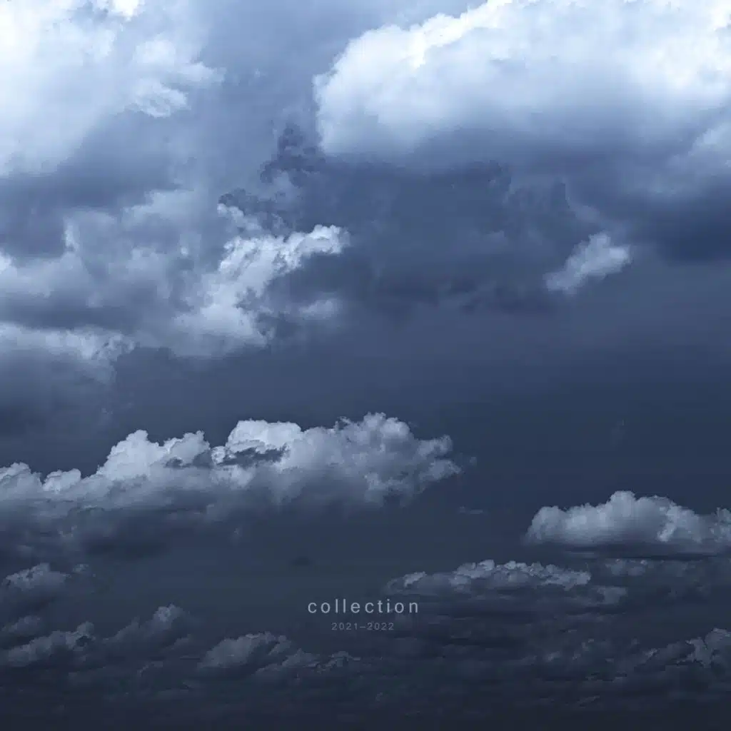 collection 2021—2022