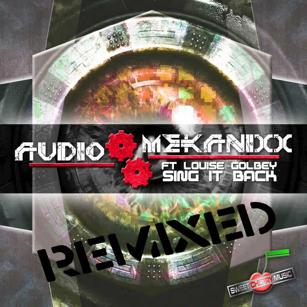 Sing It Back (feat. DJ Edit)