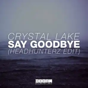 Say Goodbye (Headhunterz Radio Edit)