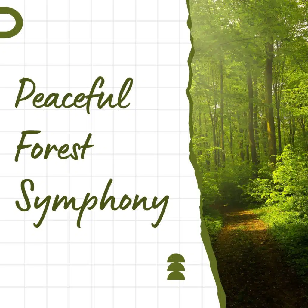 Peaceful Forest Symphony: Relaxing Sounds of Nature and Wildlife