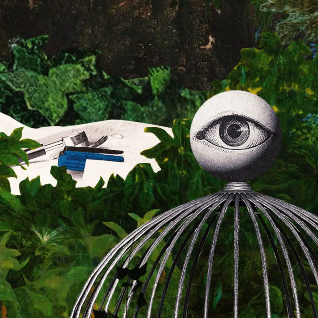 Trailer: Shame in Medicine: The Lost Forest