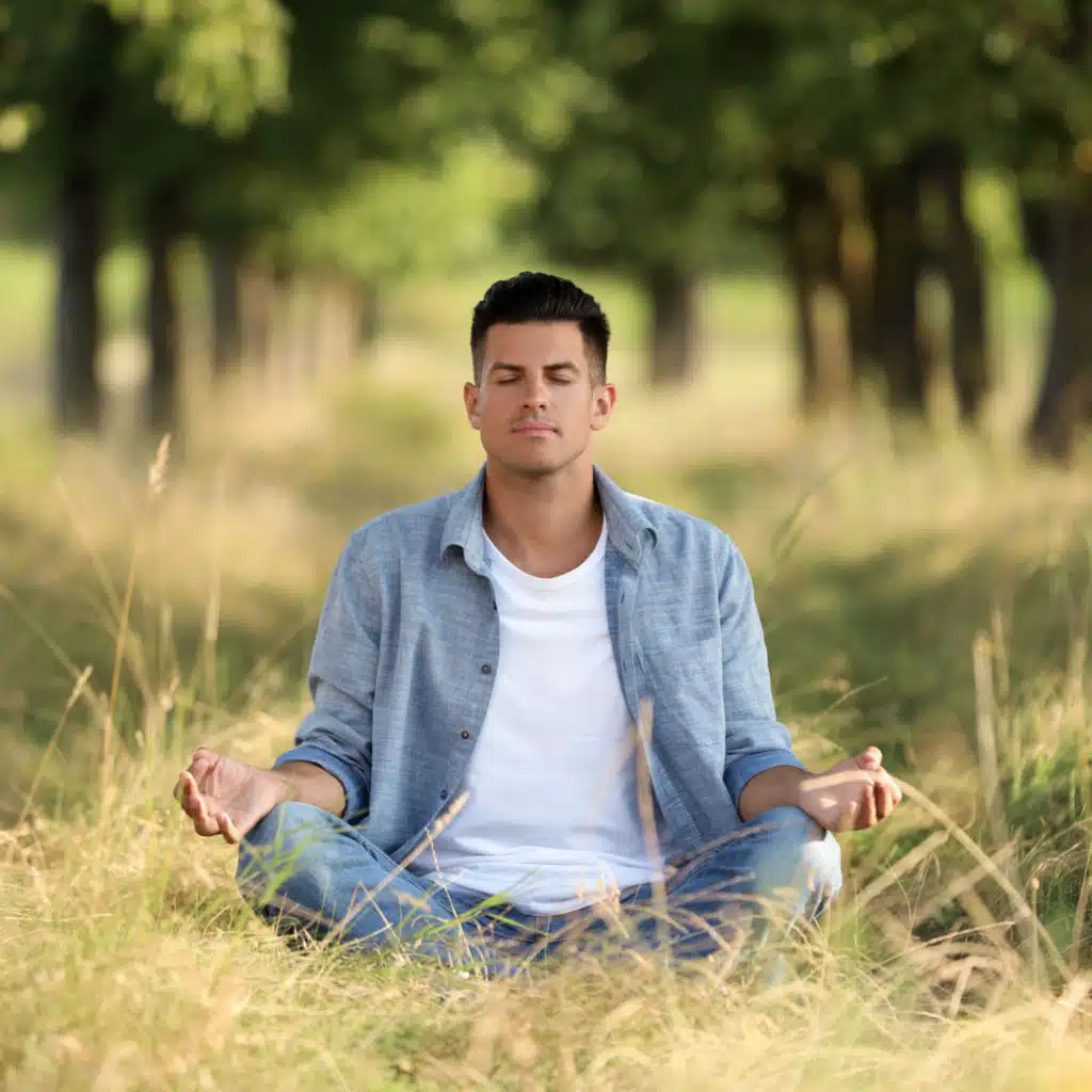 Meditation in Nature: Forest and Birds in Serene Harmony