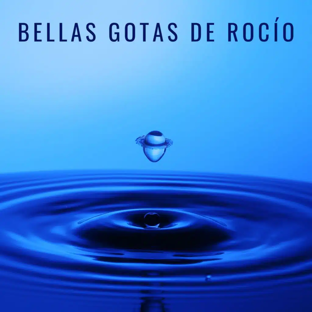 Bellas Gotas De Rocío