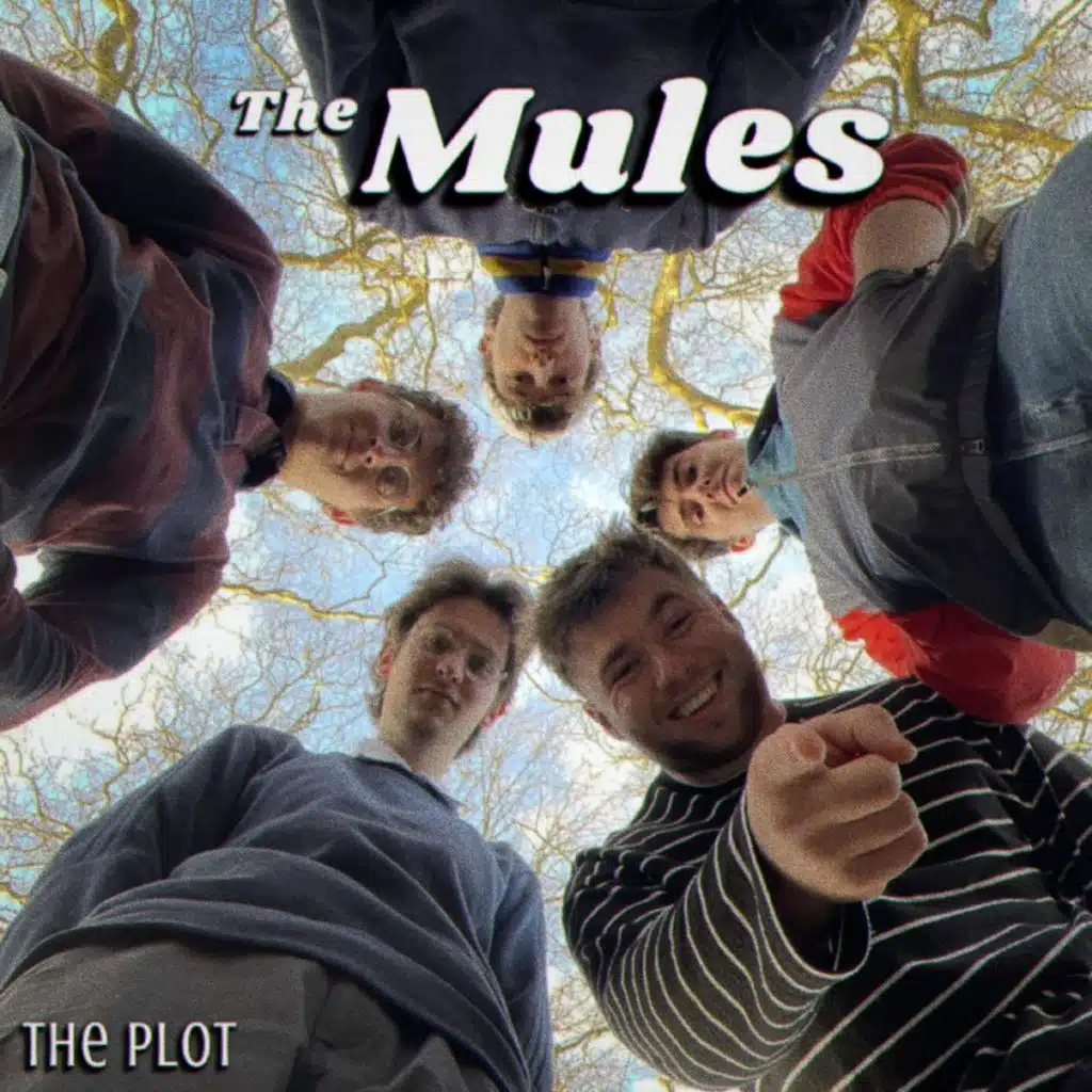 The Mules