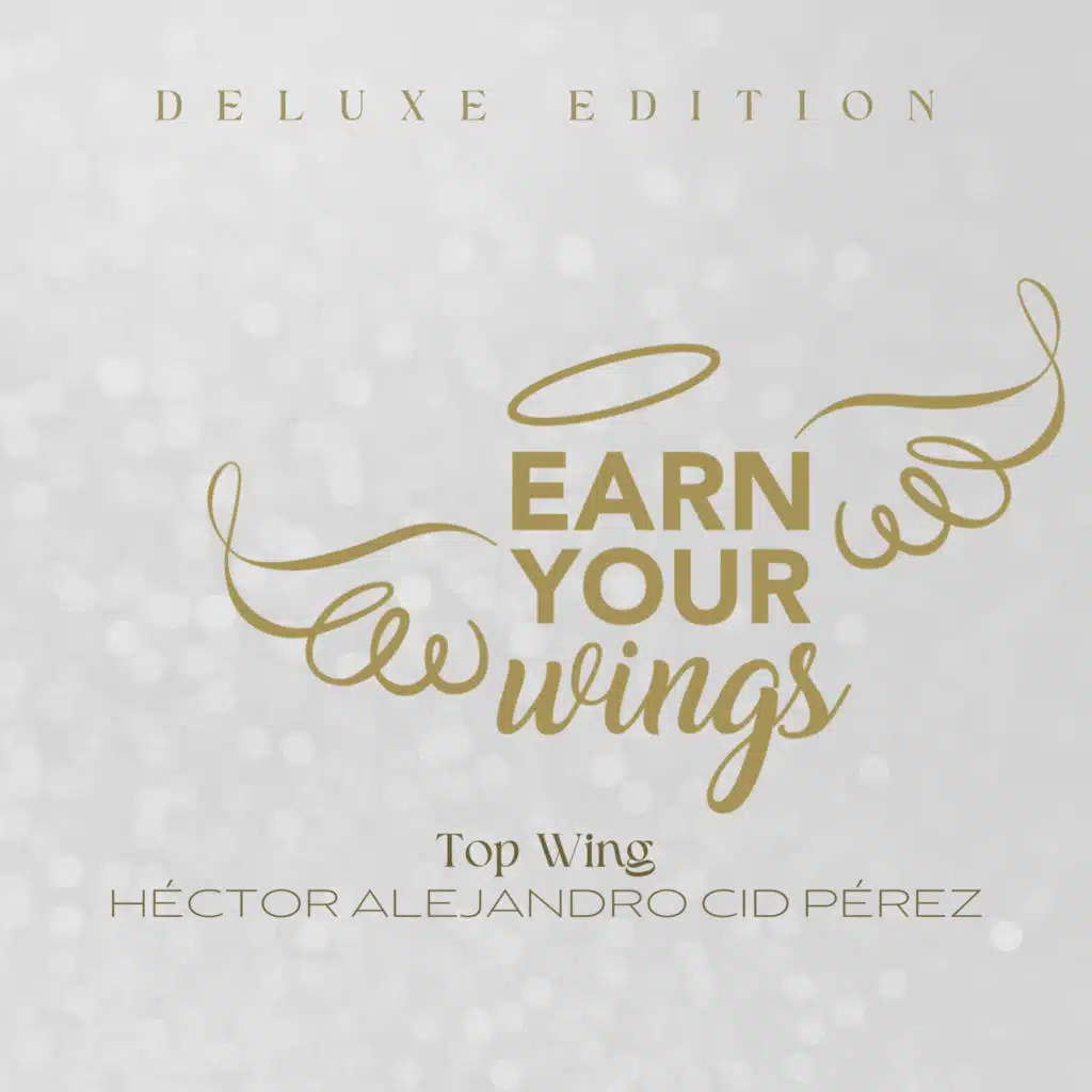Top Wing