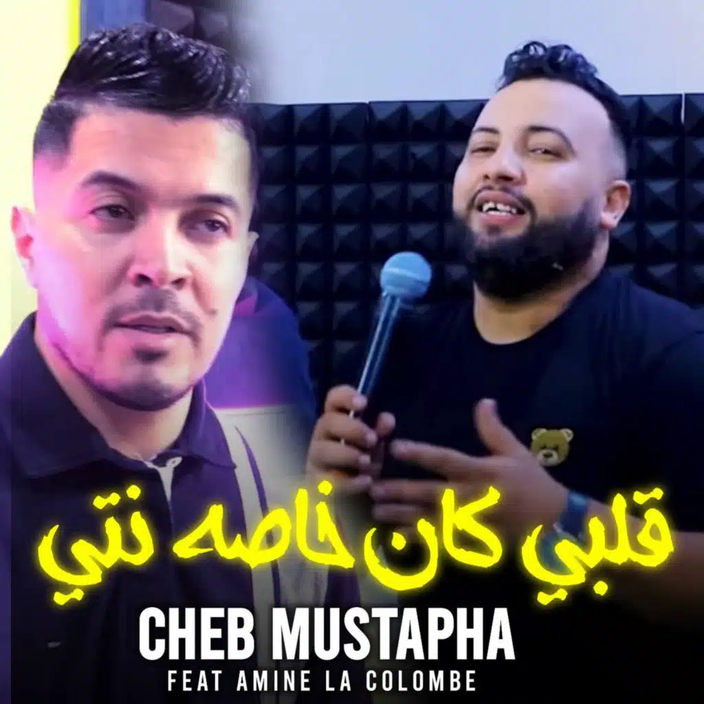 قلبي كان خاصه نتي